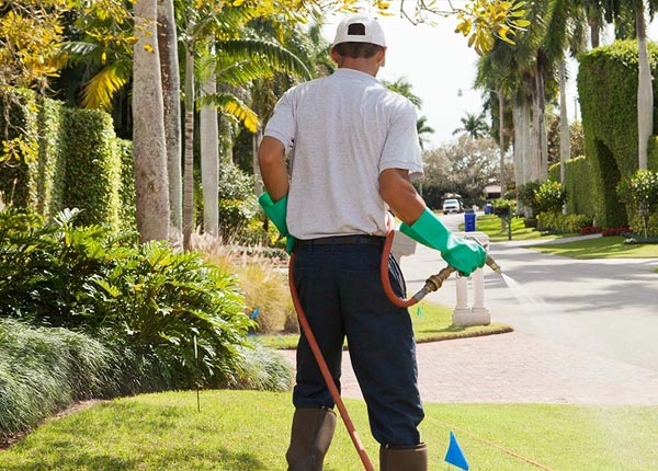 About Fortine MT Pest Control